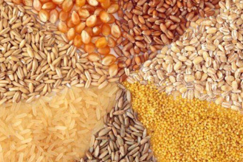 انتظار کشتی های نها ده های دامی برای تخصیص ارز انتظار کشتی های نها ده های دامی برای تخصیص ارز