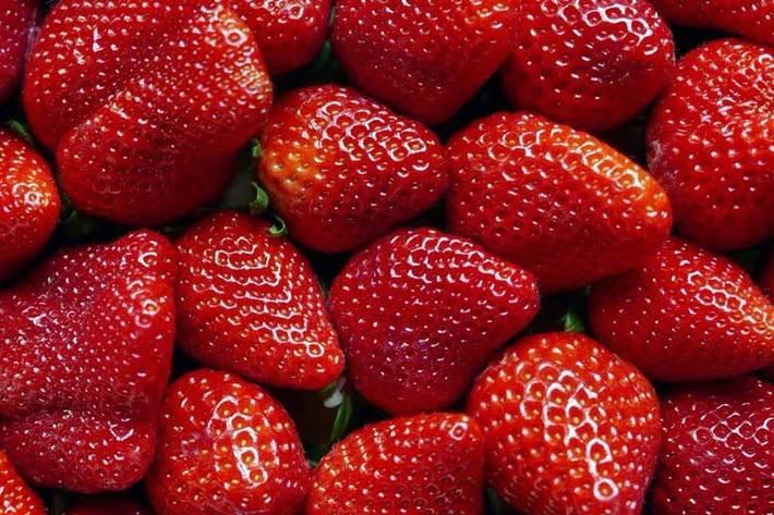 6 ترفند افزایش ماندگاری توت فرنگی