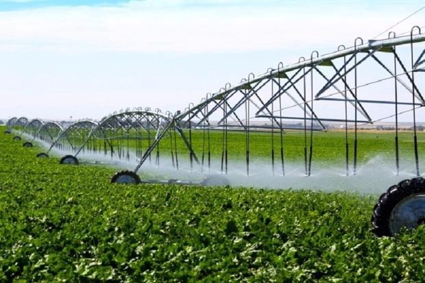 اجرای طرح آبیاری نوین در 155 هکتار از زمین های کشاورزی همدان اجرای طرح آبیاری نوین در 155 هکتار از زمین های کشاورزی همدان