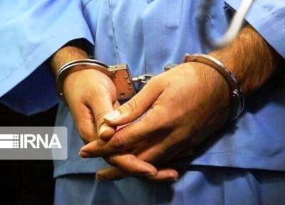 خبرنگاران 10 نفر از عاملان سرقت های مسلحانه در جنوب شرق کشور دستگیر شدند
