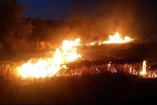 آتش سوزی در ارتفاعات شیراز، نیروهای مردمی و امدادی در کوشش برای مهار آتش