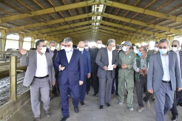 بازدید وزیر جهاد کشاورزی از مجتمع کشت و صنعت بیدمشک سربیشه بازدید وزیر جهاد کشاورزی از مجتمع کشت و صنعت بیدمشک سربیشه