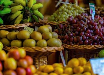 نقش موثر تغذیه بر تسریع بهبودی بدن در برابر کرونا