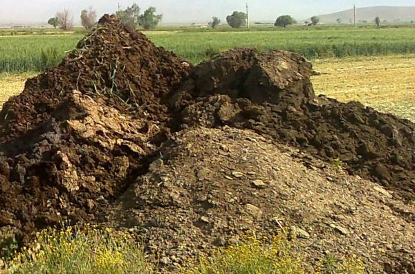 استفاده از کود گاوی برای تولید حرارت استفاده از کود گاوی برای فراوری حرارت