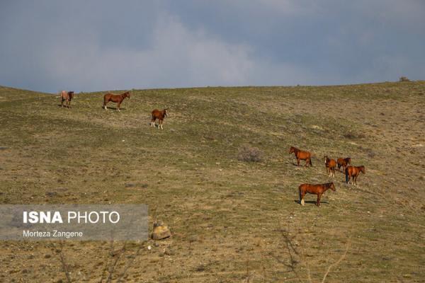 (تصاویر) حوالی تهران، زندگی در فاز 8 پردیس (تصاویر) حوالی تهران، زندگی در فاز 8 پردیس