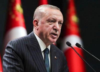 اردوغان: ترکیه دنبال احیای اتحاد تاریخی با مصر است