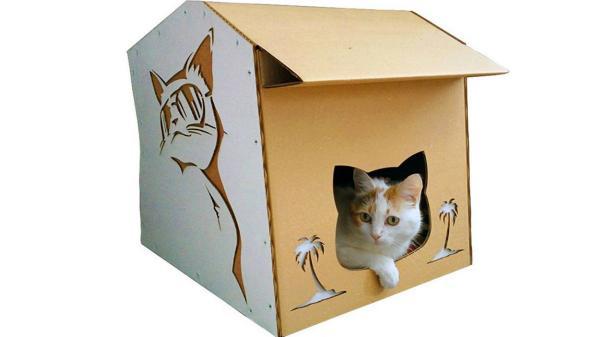 نحوه ساخت خانه برای گربه های شهری