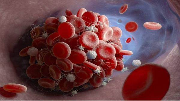 کشف پروتئین دخیل در لخته شدن خون